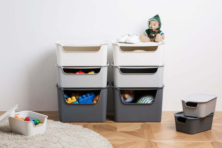 Organizador Living Box L 18L