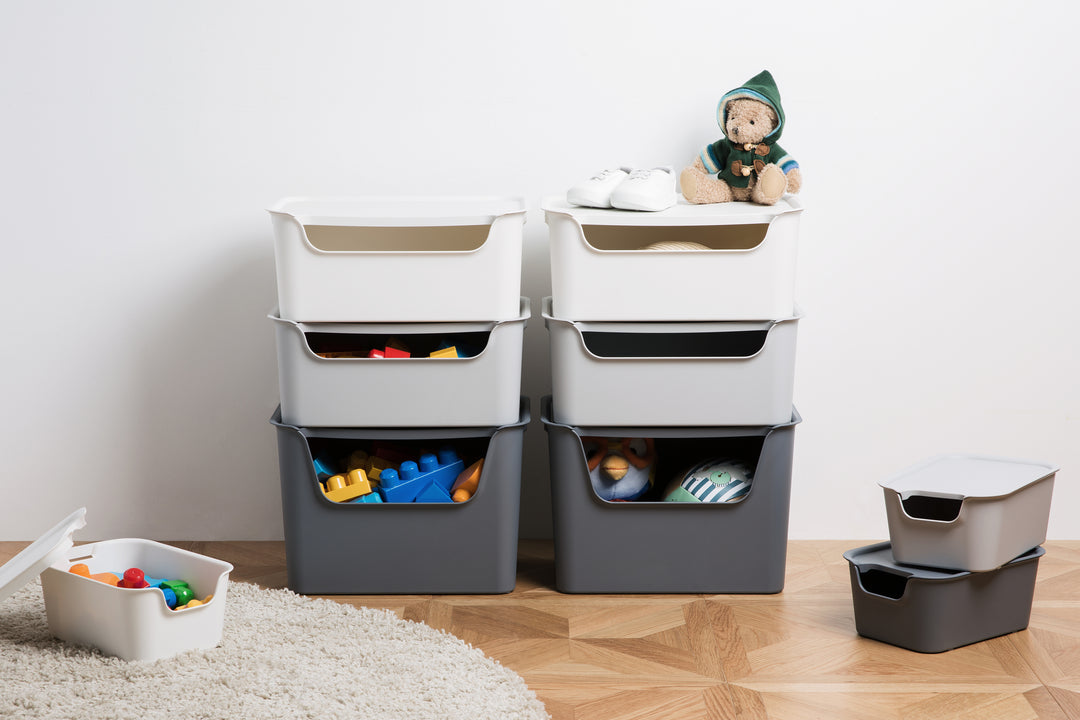 Organizador Living Box M 11L